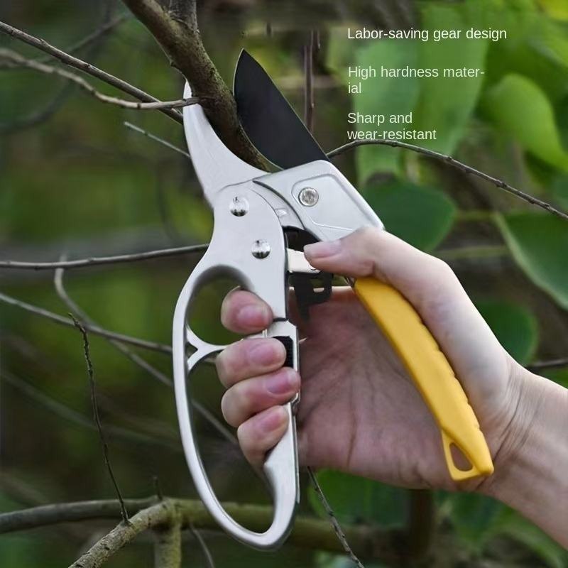 Secateurs with Steel Blade for Gardening, Pruning, and Bonsai Care