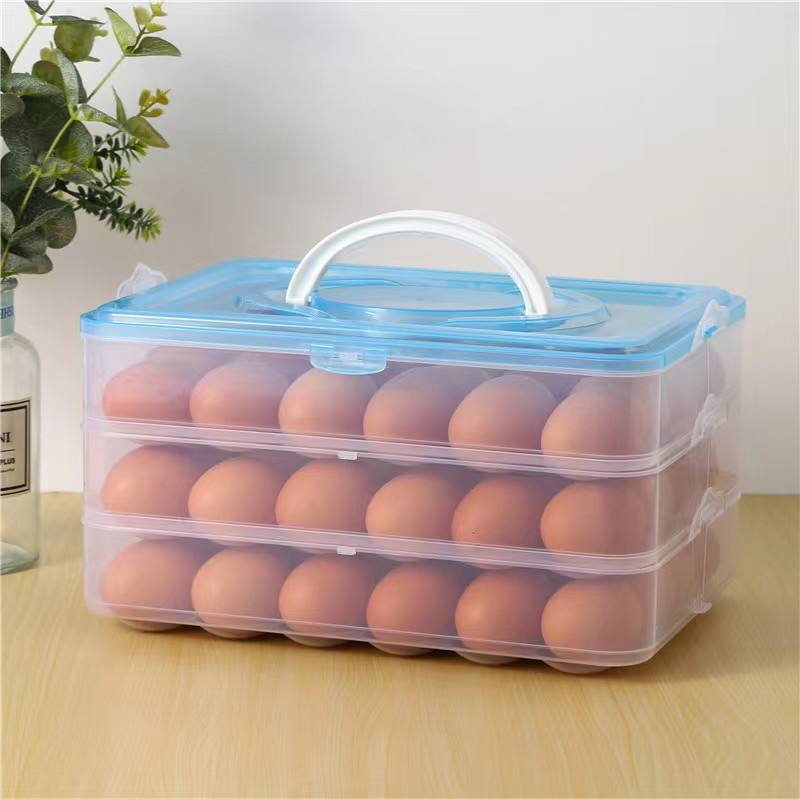 Multi-Purpose 24-Grid Egg Box