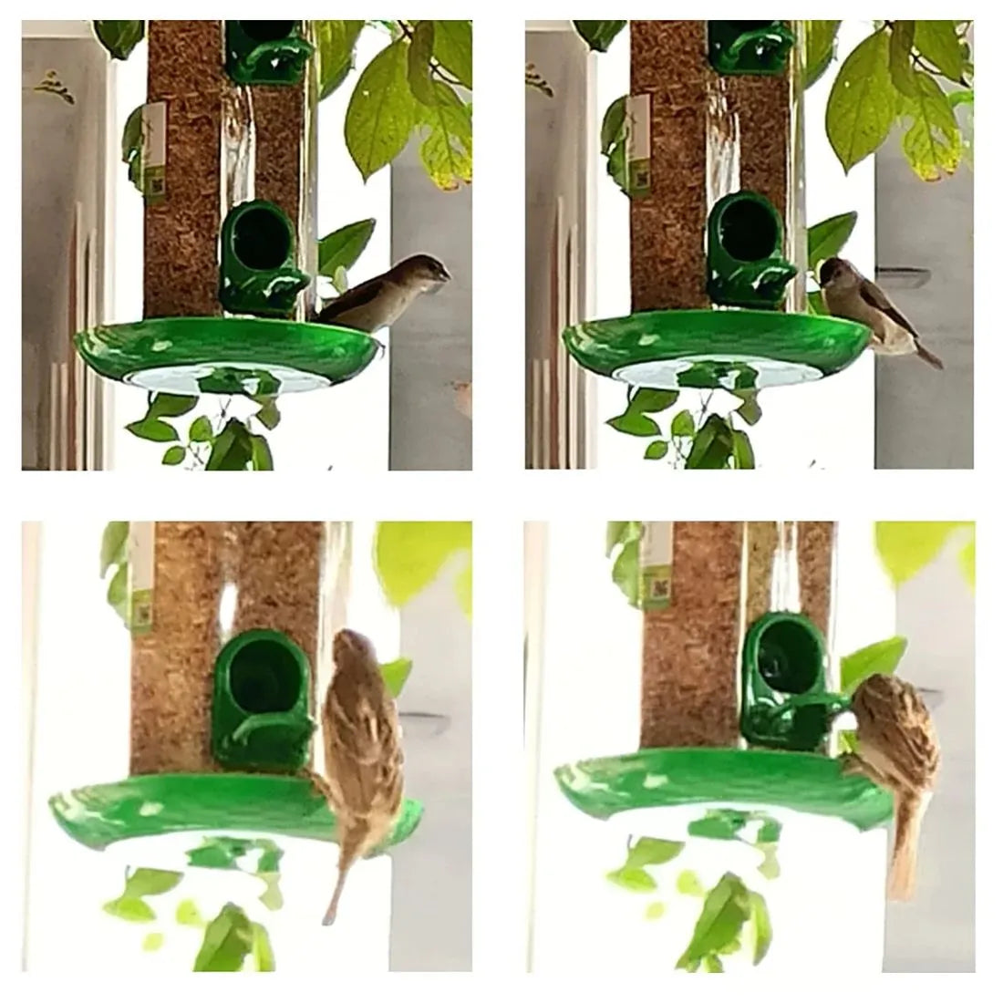 The Better Bird feeder