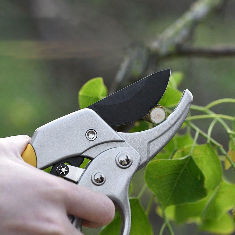 Secateurs with Steel Blade for Gardening, Pruning, and Bonsai Care