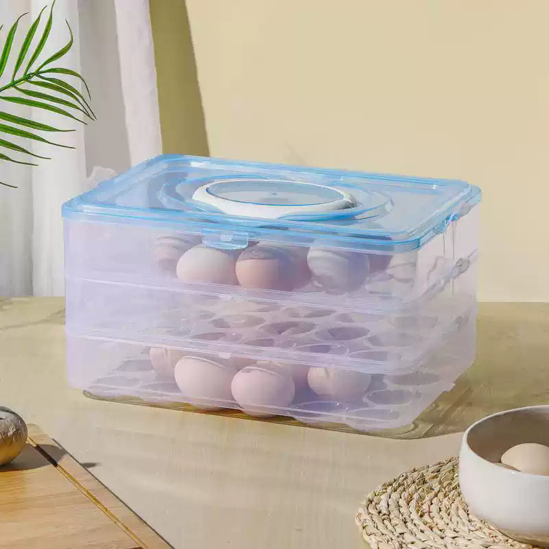 Multi-Purpose 24-Grid Egg Box