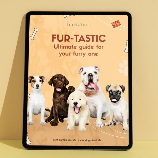 Furtastic - Ultimate Guide for your Furry One Ebook